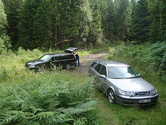Cars parked in the forest